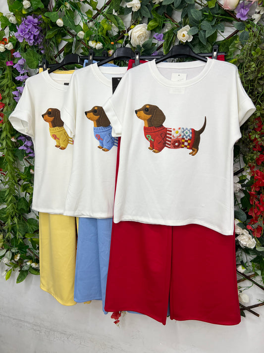 Conjunto Perrito